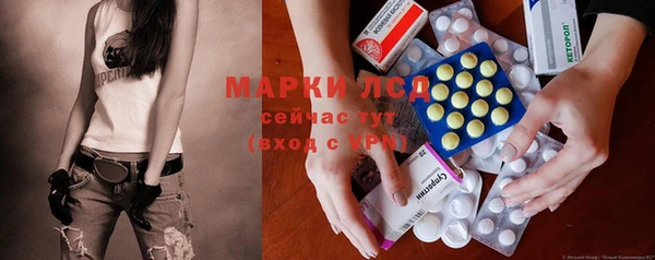 ГАЛЛЮЦИНОГЕННЫЕ ГРИБЫ Белокуриха