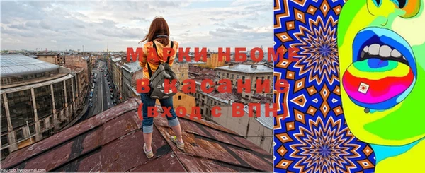 ГАЛЛЮЦИНОГЕННЫЕ ГРИБЫ Белокуриха