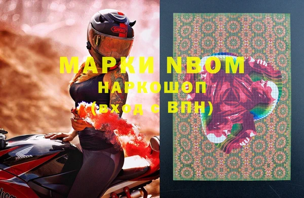 ГАЛЛЮЦИНОГЕННЫЕ ГРИБЫ Белокуриха