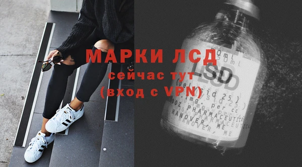 ГАЛЛЮЦИНОГЕННЫЕ ГРИБЫ Белокуриха