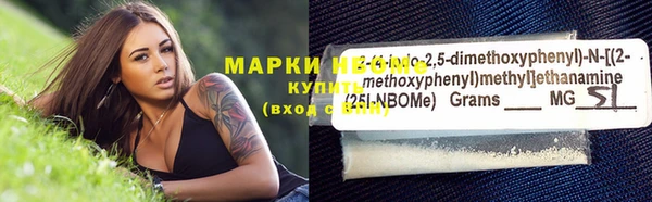 ГАЛЛЮЦИНОГЕННЫЕ ГРИБЫ Белокуриха