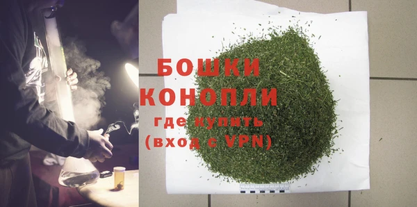 молекула духа Сясьстрой