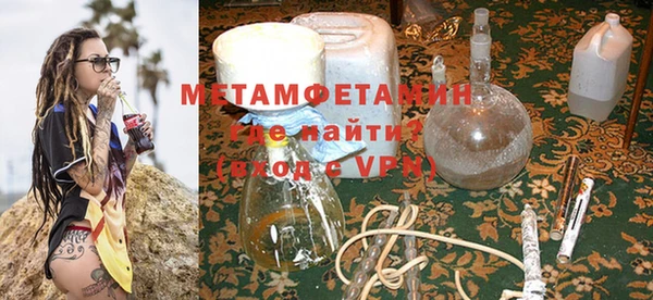 ГАЛЛЮЦИНОГЕННЫЕ ГРИБЫ Белокуриха