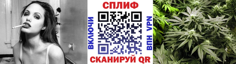 площадка Telegram купить наркотик Вихоревка Канабис тримм